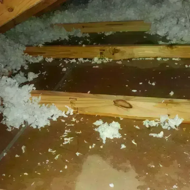 Attic Water Damage in Burlingame, CA